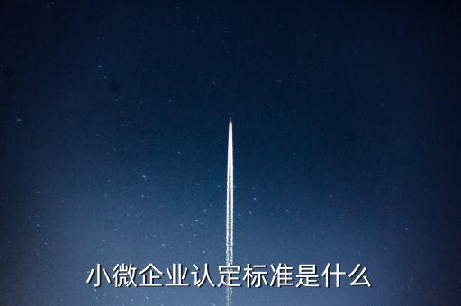 小微企業(yè)包括什么條件，小微企業(yè)的標準是什么