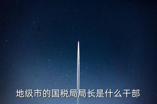 地級(jí)市的國稅局局長是什么干部