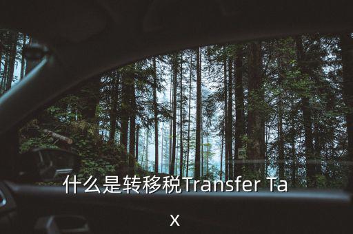 什么是跨地區(qū)稅收轉移企業(yè)，什么是轉移稅Transfer Tax
