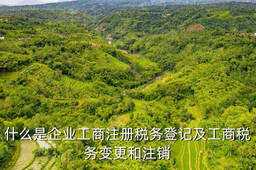 登記稅務(wù)是什么，什么是納稅人稅務(wù)登記名稱