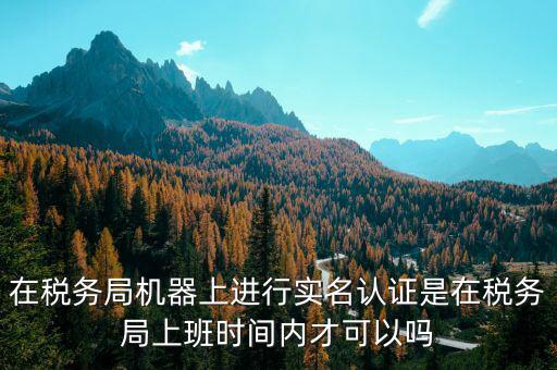 國(guó)稅實(shí)名制認(rèn)證要什么時(shí)候，太原萬(wàn)柏林國(guó)稅局實(shí)名認(rèn)證截至日期