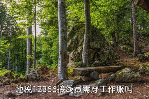 12366地稅主要負(fù)責(zé)什么，地稅是指什么