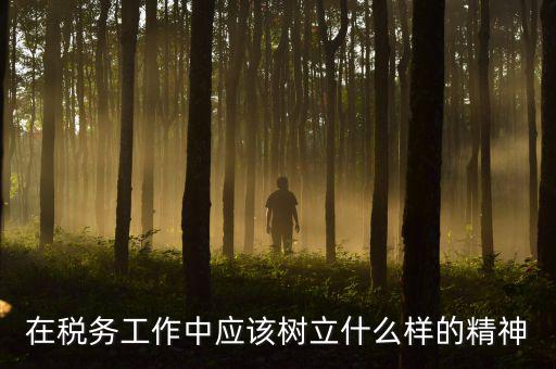 在稅務工作中應該樹立什么樣的精神