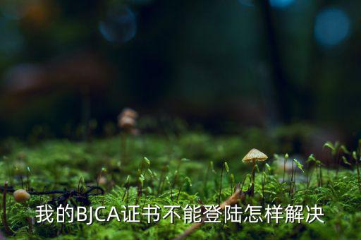為什么ca證書不能登錄，我的BJCA證書不能登陸怎樣解決