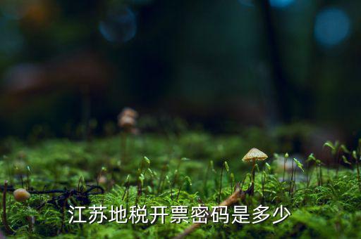 江蘇地稅密碼是什么，江蘇地稅開票密碼是多少