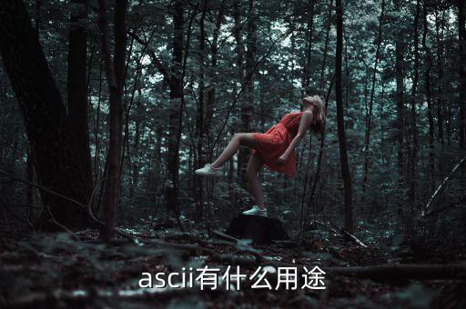 稅優(yōu)識(shí)別碼有什么用，ascii有什么用途