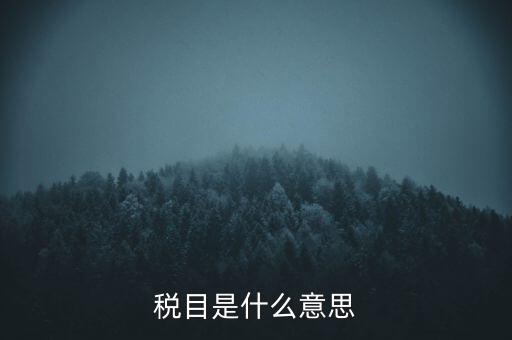 增值稅稅目是什么，增值稅是什么稅是什么