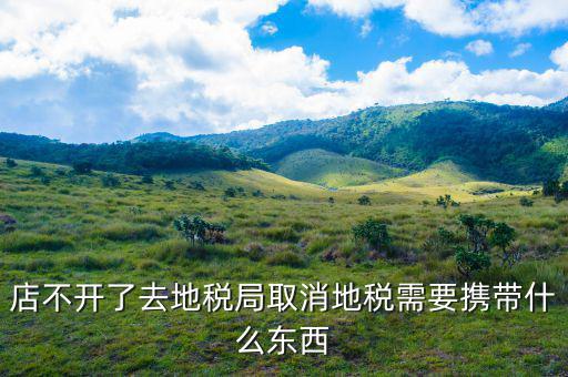 去地稅作廢申報(bào)需要帶什么手續(xù)，去地稅局辦撤回個(gè)人所得稅申報(bào)用帶什么