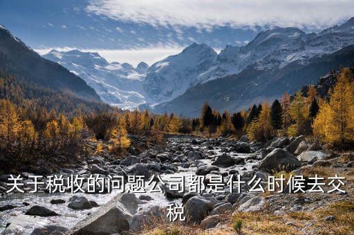 每個什么時候交稅，關(guān)于稅收的問題公司都是什么時候去交稅