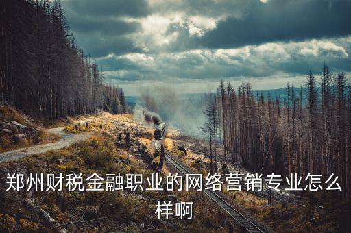 互聯(lián)網(wǎng)財(cái)稅銷售是什么，鄭州財(cái)稅金融職業(yè)的網(wǎng)絡(luò)營銷專業(yè)怎么樣啊