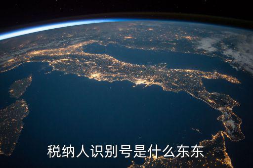 企業(yè)稅務(wù)識(shí)別號(hào)是什么意思，稅納人識(shí)別號(hào)是什么東東