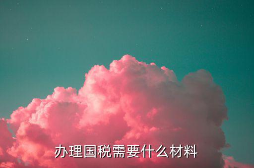 國稅局交稅要什么證件，辦理國稅需要什么材料