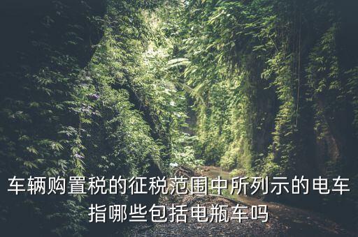 有軌電車征收什么稅，車輛購置稅的征稅范圍中所列示的電車指哪些包括電瓶車嗎