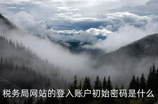廣東國稅網(wǎng)登錄密碼是什么意思，稅務(wù)局網(wǎng)站的登入賬戶初始密碼是什么