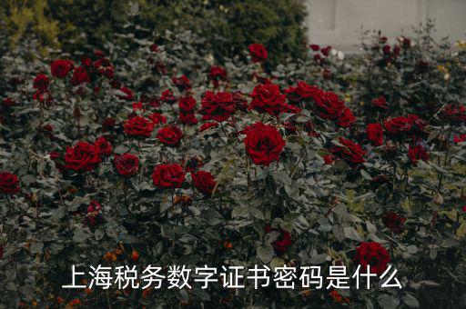 稅務(wù)數(shù)字證書密碼是什么，稅務(wù)密鑰是什么東西是數(shù)字證書嗎
