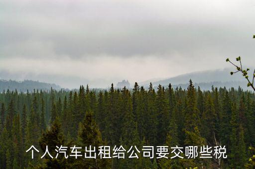 車輛租賃交什么稅，轎車租賃需繳納多少稅控