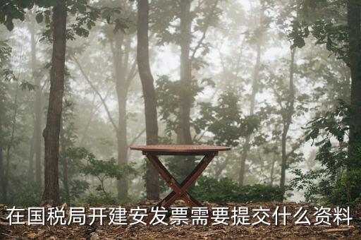 在國(guó)稅局開建安發(fā)票需要提交什么資料