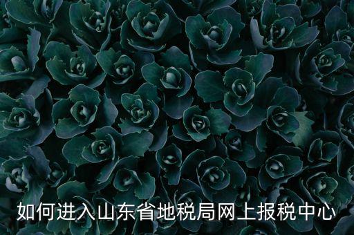 山東地稅密碼是什么，我在山東地稅網(wǎng)上報(bào)稅密碼怎么查
