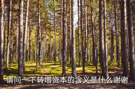 什么是利潤(rùn)轉(zhuǎn)增資，什么叫轉(zhuǎn)增資本通俗一點(diǎn)越白話越好