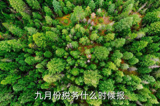 2017年9月份的稅什么報完，誰知道今年9月的個人所得稅怎么報怎么來計算的
