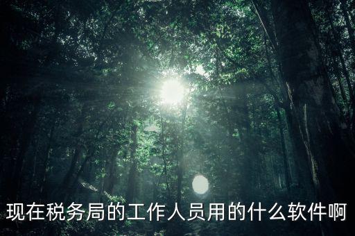 現在稅務局的工作人員用的什么軟件啊