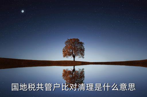 什么是國地稅共管，國稅地稅共管公司都需要每個月報稅嗎意思就是說我每個月地稅
