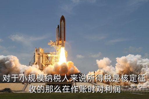 核定征收 有什么利，我不知道核定征收與查賬征收那個對公司有利些
