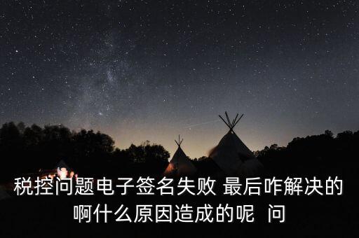 什么是稅控簽名，報稅時數(shù)字簽名是甚么意思