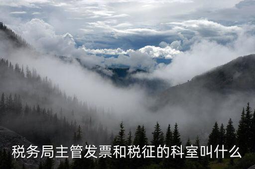 國(guó)稅稅務(wù)局都有什么科，稅務(wù)局主管發(fā)票和稅征的科室叫什么
