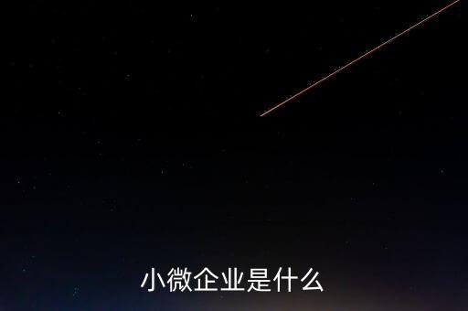 小微企業(yè)包括什么，小微企業(yè)是什么