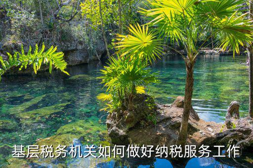 納稅服務(wù)是指什么，納稅服務(wù)的三個(gè)主體是什么