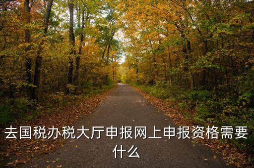 國稅網(wǎng)上申報用什么資料，去國稅辦稅大廳申報網(wǎng)上申報資格需要什么