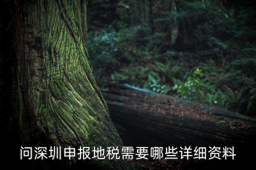 深圳市的地稅申報(bào)是什么，深圳市地稅怎么申報(bào)