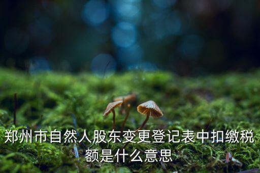 扣繳稅款登記是什么意思，應(yīng)當按照稅收征管法等有關(guān)規(guī)定辦理扣繳稅款登記領(lǐng)取扣繳憑