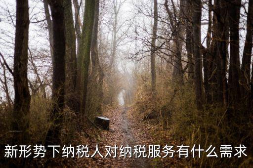 納稅服務(wù)的要求是什么，新形勢下納稅人對納稅服務(wù)有什么需求