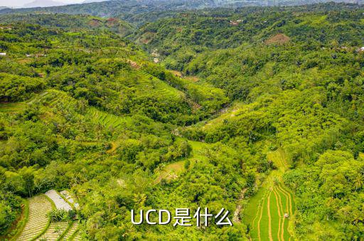維簡費是什么，擔(dān)保法中的孽息是什么