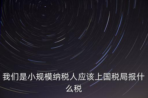 小規(guī)模要報(bào)什么稅，我想問(wèn)問(wèn)小規(guī)模納稅人報(bào)稅需要報(bào)些什么