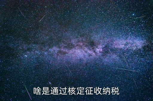 啥是通過(guò)核定征收納稅