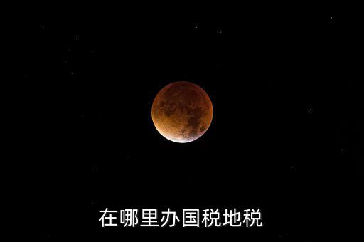 什么在地稅辦，在哪里辦國(guó)稅地稅