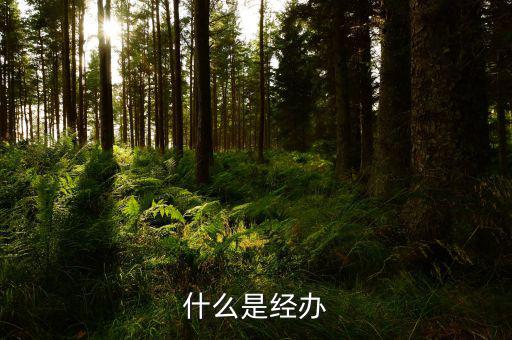 稅務(wù)文書經(jīng)辦是什么意思，什么是經(jīng)辦