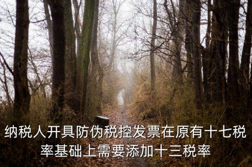 金稅卡加稅率有什么，金稅盤稅額問題