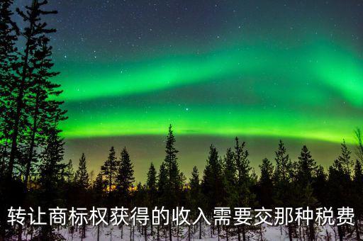 轉(zhuǎn)讓商標權獲得的收入需要交那種稅費