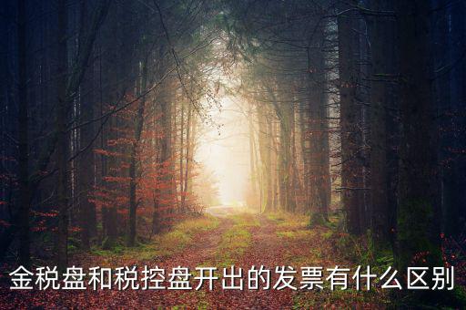 金稅盤和稅控盤是什么，金稅盤和稅控盤開出的發(fā)票有什么區(qū)別