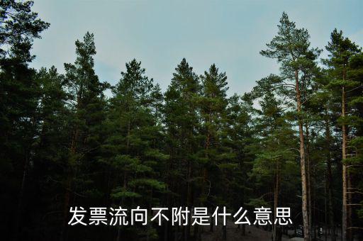 什么是流向票，發(fā)票流向不附是什么意思