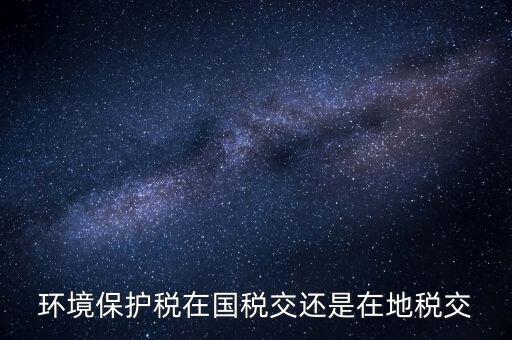 什么人要交環(huán)境保護(hù)稅，環(huán)境保護(hù)稅在國稅交還是在地稅交