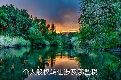 個人股權(quán)轉(zhuǎn)讓都涉及什么稅，法人股東股權(quán)轉(zhuǎn)讓分別涉及哪些稅種