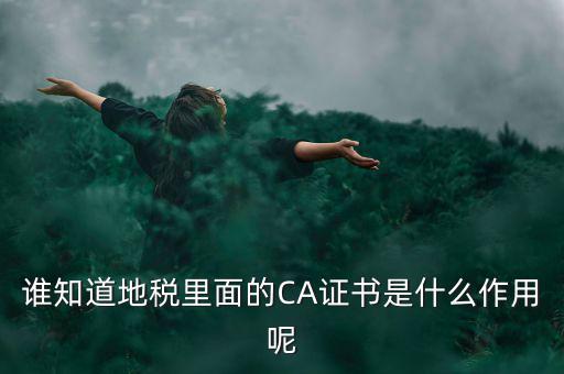 稅務(wù)企業(yè)ca登錄是什么意思，網(wǎng)上報稅CA驗證系統(tǒng)是甚么