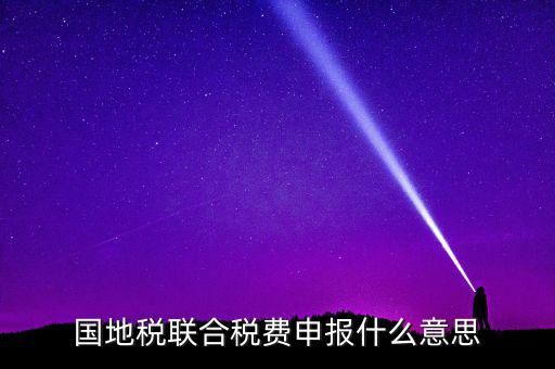 國稅地稅聯(lián)合有什么用，國地稅聯(lián)合稅費(fèi)申報(bào)什么意思