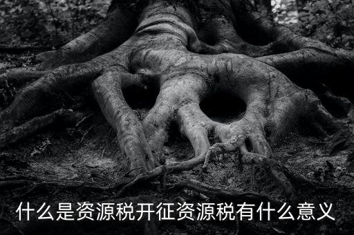 為什么開證資源稅，什么是資源稅開征資源稅有什么意義