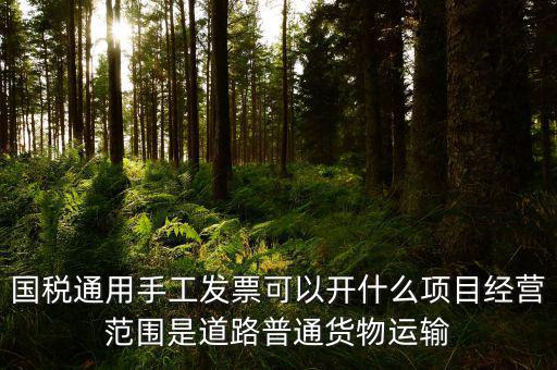 國稅通用手工發(fā)票可以開什么項目經(jīng)營范圍是道路普通貨物運(yùn)輸